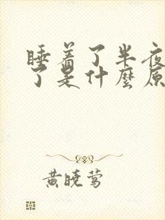 睡着了半夜又醒了是什么原因