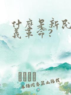 什么是新民主主义革命?