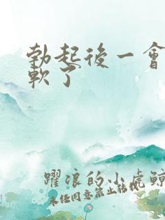 勃起后一会就变软了