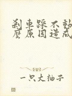 刹车踩不动是什么原因造成的