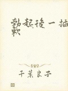 勃起后一插入就软