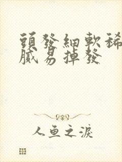 头发细软稀少油腻易掉发