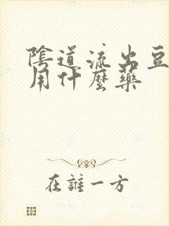 阴道流出豆腐渣用什么药