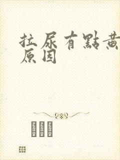 拉尿有点黄什么原因