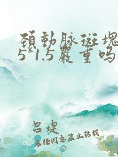 颈动脉斑块6.5*1.5严重吗