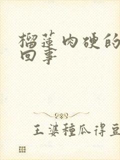 榴莲肉硬的怎么回事