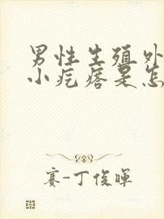 男性生殖外皮有小疙瘩是怎么回事