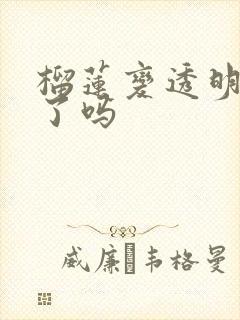 榴莲变透明是坏了吗