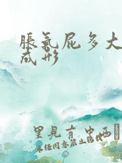 胀气屁多大便不成形