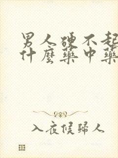 男人硬不起来吃什么药中药