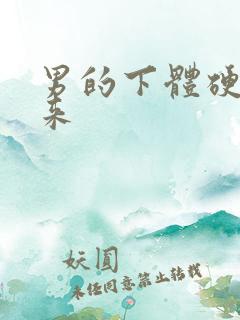 男的下体硬不起来