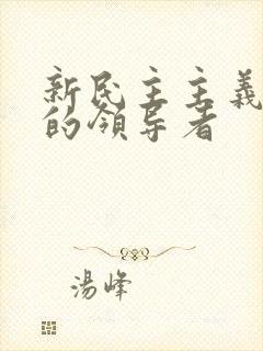 新民主主义革命的领导者