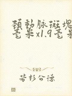 颈动脉斑块24毫米x1.9毫米要紧吗