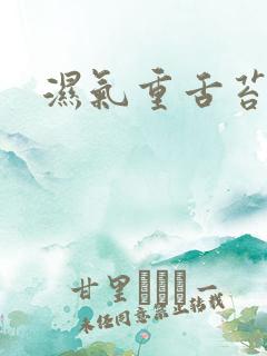 湿气重舌苔黄腻