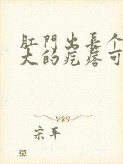 肛门出长个豆子大的疙瘩可疼