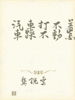 汽车打不着火刹车踩不动怎么回事