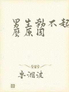 男生勃不起是什么原因