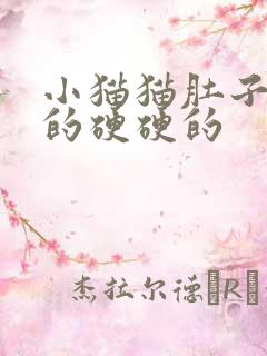 小猫猫肚子鼓鼓的硬硬的