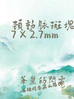 颈动脉斑块8.7×2.7mm