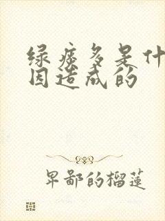 绿痰多是什么原因造成的