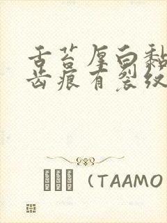 舌苔厚白黏腻有齿痕有裂纹