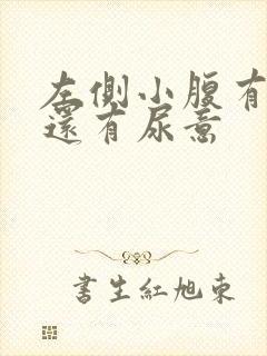 左侧小腹有点胀还有尿意