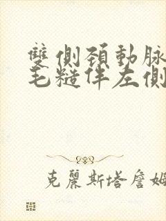 双侧颈动脉内膜毛糙伴左侧斑块形成