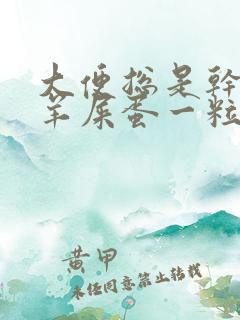 大便总是干燥像羊屎蛋一粒一粒的