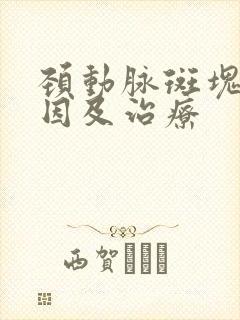 颈动脉斑块的原因及治疗