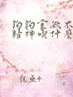 狗狗食欲不振没精神吃什么药