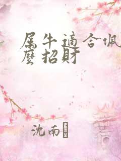 属牛适合佩戴什么招财