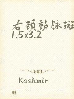 右颈动脉斑块11.5x3.2