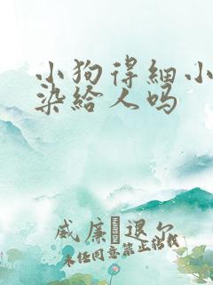 小狗得细小会传染给人吗