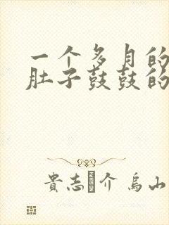 一个多月的小猫肚子鼓鼓的