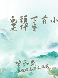 龟头下有小肉粒是什么