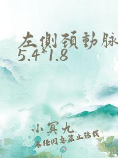 左侧颈动脉斑块5.4*1.8