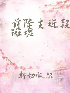 前降支近段钙化斑块