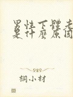 男性下体老潮湿是什么原因