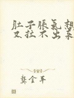 肚子胀气想大便又拉不出来怎么办