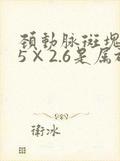 颈动脉斑块8.5×2.6是属于严重的吗