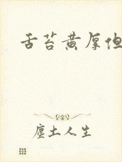 舌苔黄厚但不腻