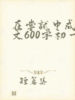 在尝试中成长作文600字初一