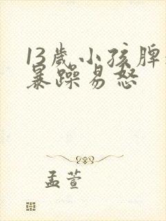 13岁小孩脾气暴躁易怒