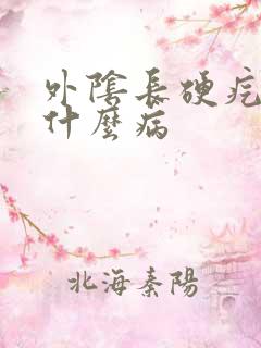 外阴长硬疙瘩是什么病