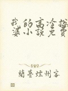 我的高冷总裁老婆小说免费