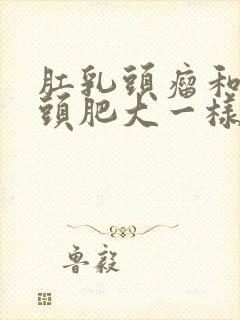 肛乳头瘤和肛乳头肥大一样嘛