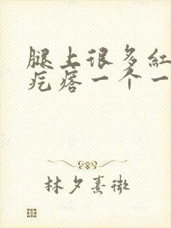 腿上很多红色的疙瘩一个一个痒痒的