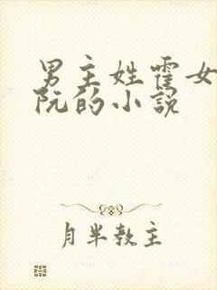 男主姓霍女主姓阮的小说