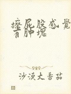 擦屁股感觉肛旁有肿块