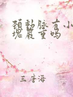 颈动脉有小软斑块严重吗